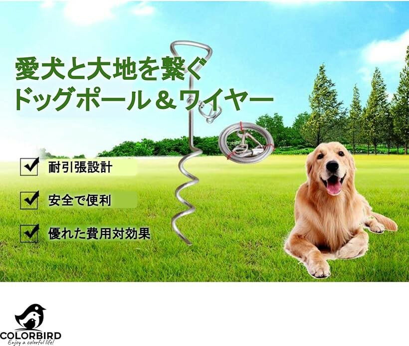 サンプル画像3