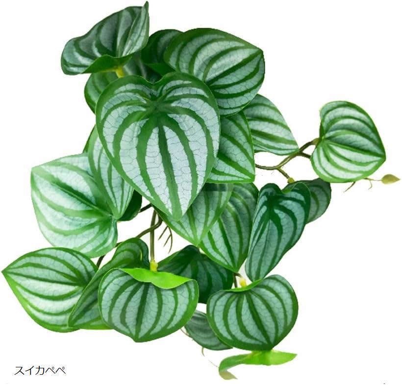ペット用品 人工植物 ビバリウム用 吸盤付きモンステラ 葉 爬虫類 両生類 カメ カエル 対応 スイカペペ