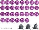【楽天ランキング1位入賞】ポンポン チア キッズ ダンス(ピンク+シルバー30個)