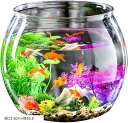 【楽天ランキング1位入賞】金魚鉢 アクリル水槽 透明 メダカ 苔 アクアリウム 水草 飼育水槽 睡蓮鉢 ビオトープ 容器 金魚水槽 円形 テラリウム(透明, 縦13.5cmx横16.5)