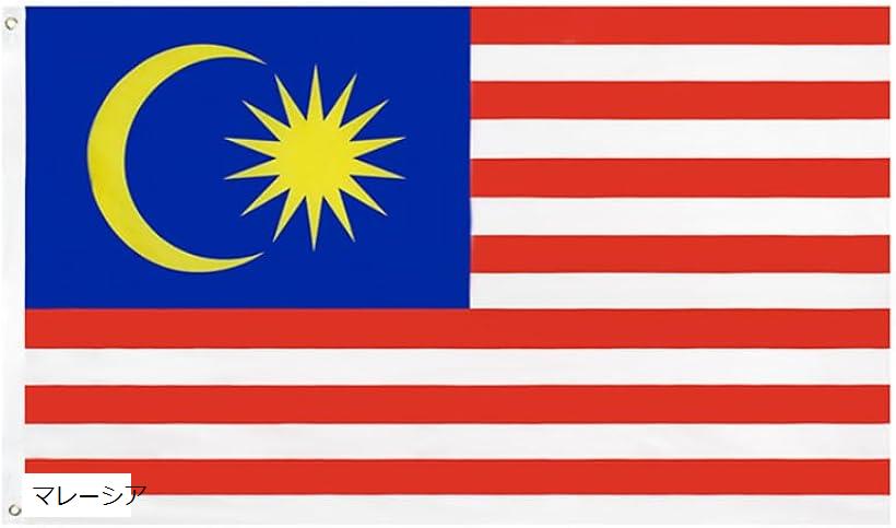 国旗 90x150cm ハトメ式 応援グッズ 運動(マレーシア)