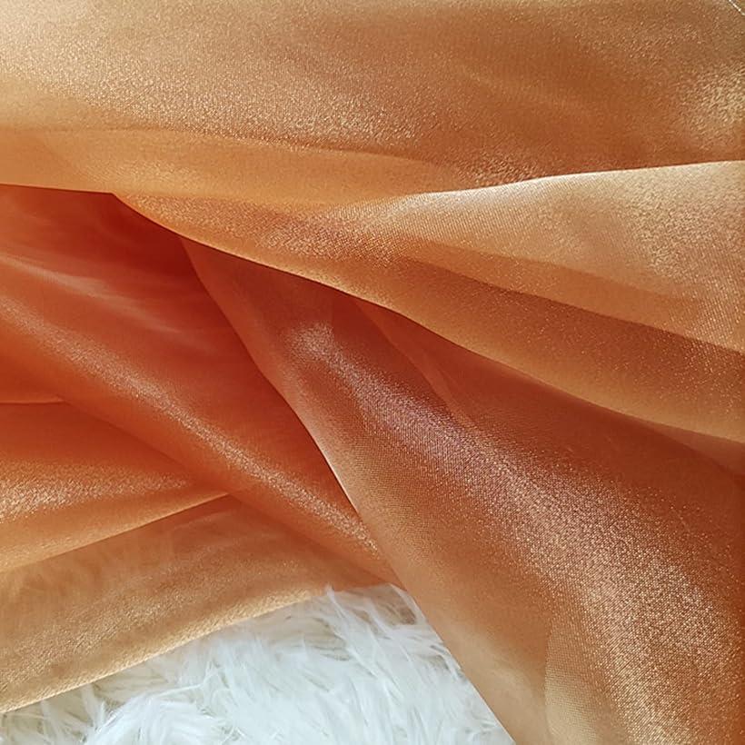 選べる19色 高光沢 オーガンジー 生地 3mx幅150cm 手芸 カラー 無地 布 (飴色)