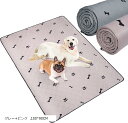 2枚セット洗えるペットシーツ ペットマット ペット用おしっこマット ペット洗えるマット 四重構造 犬 100x90CM(グレー+ピンク, 100x90CM)(4)