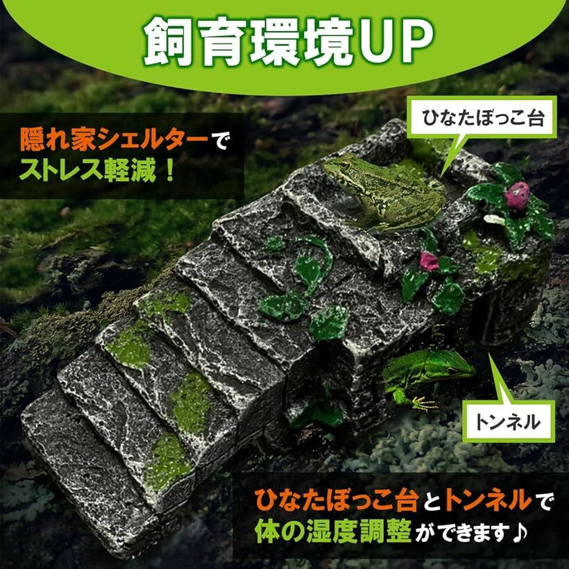 アクアリウム 両生類 爬虫類 亀 浮島 隠れ家 小型