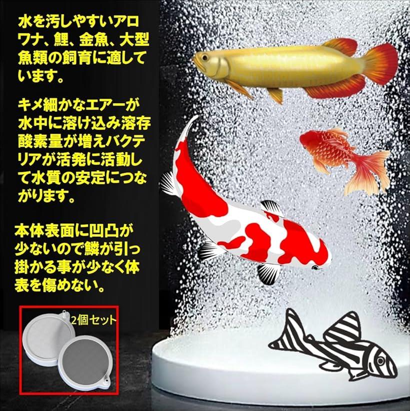 ���������ȡ��� 2�ĥ��å� �٤���ˢ �ݷ� ���� �����졼����� �Х֥� ��� Ǯ�ӵ� �������ꥦ�� ������ �������ȡ��� 15cmx2 (�ʤ�, 15cmx2)