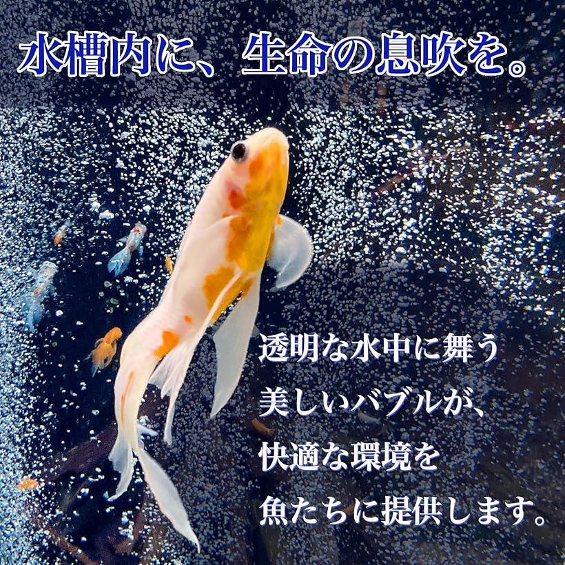 ���������ȡ��� ���� ����� ���� �������ꥦ�� ���奻�å� ��� ���� ���� Ǯ�ӵ� ��̺��� �Х��ƥꥢ ���졼 20�ĥ��å� 50mm (���졼, 20��)