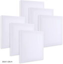 キャンバス キャンバスボード ミニキャンバス 正方形 画材 絵画 水彩画 油絵 20cmx20cm 6個 セット(白, 20cmx20cm)