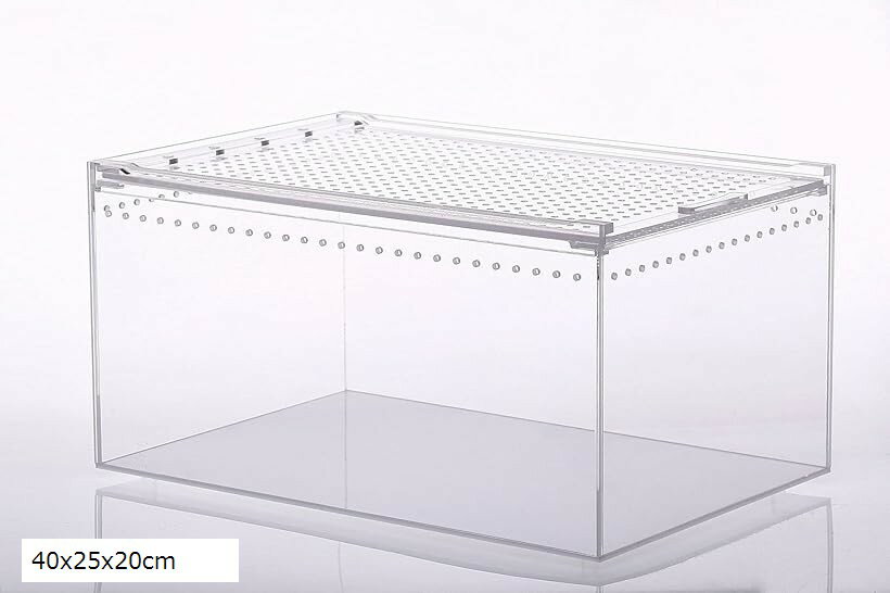 爬虫類 ケージ シェルター アクリル製 トカゲ 蛇 サソリ 飼育 ボックス (40x25x20cm)