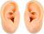 ZERONOWA シリコン耳 模型 左右セット 耳モデル 両耳模型 耳つぼ リアル耳模型 人工 (肌色)