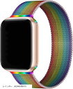 バンド コンパチブル Apple Watchバンド オールメタル ステンレス製 マグネットバンド Series Ultra/8/7/6/SE/5/4/3/2/1 男女兼用(レインボー, 42/44/45mm)(2)