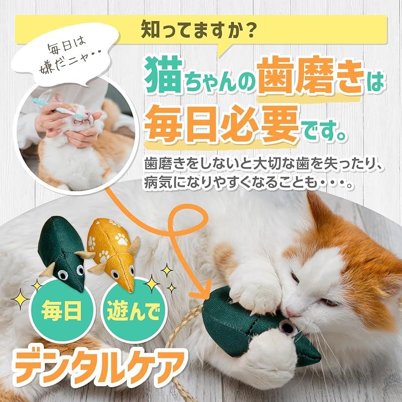 �ڳ�ŷ��󥭥�1�����ޡ�FelineBees ���᤭ ������륱�� ǭ ��� ������� ����Ȳ����Ĥ� �ͤ��� 2������ ���प����� ��ư��­ ͷ�Ӥ�ǥ󥿥륱���� �ˤ����夦õ����