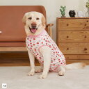 犬 服 術後ウェア 術後服 手術 傷口保護 エリザベスカラー代替 かわいい いちご柄(いちご, XS)(4)