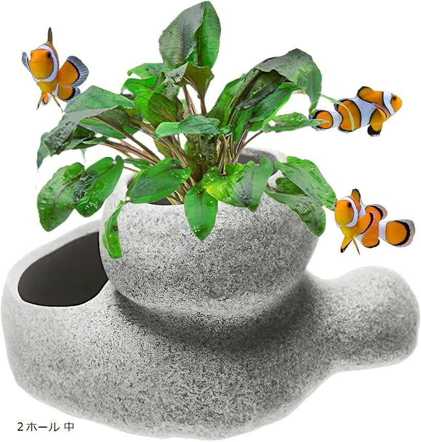 ���� ���� ȭ ������ �� �դ� ����ݥå� �������ꥦ�� �� ���֥��� ����� Ǯ�ӵ� 2�ۡ��� �� (2�ۡ��� ��)