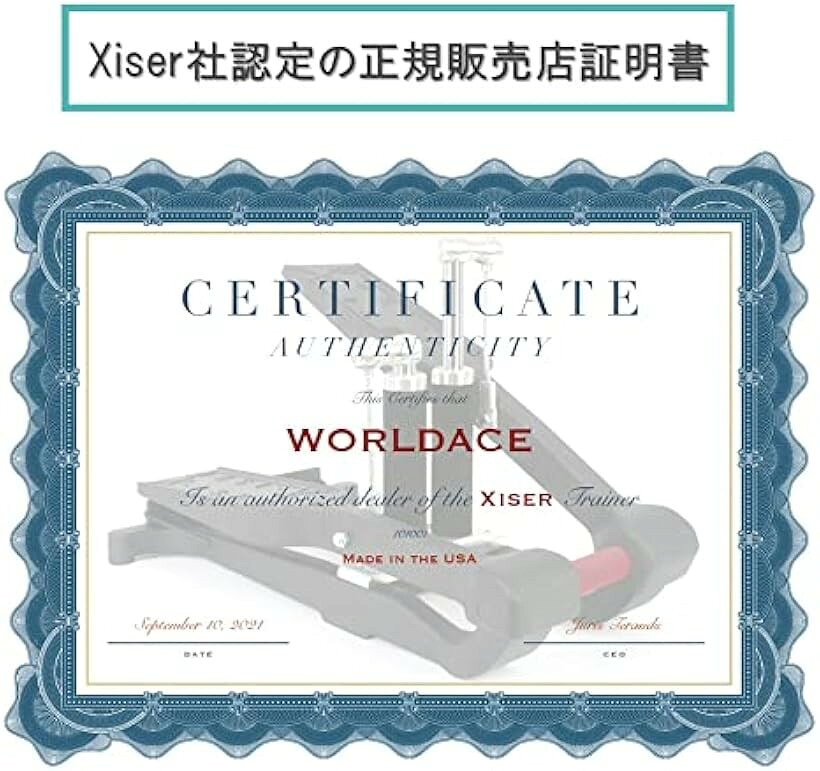 エクサー プロ ステッパー Pro Trainer WORLDACE (エクサー)