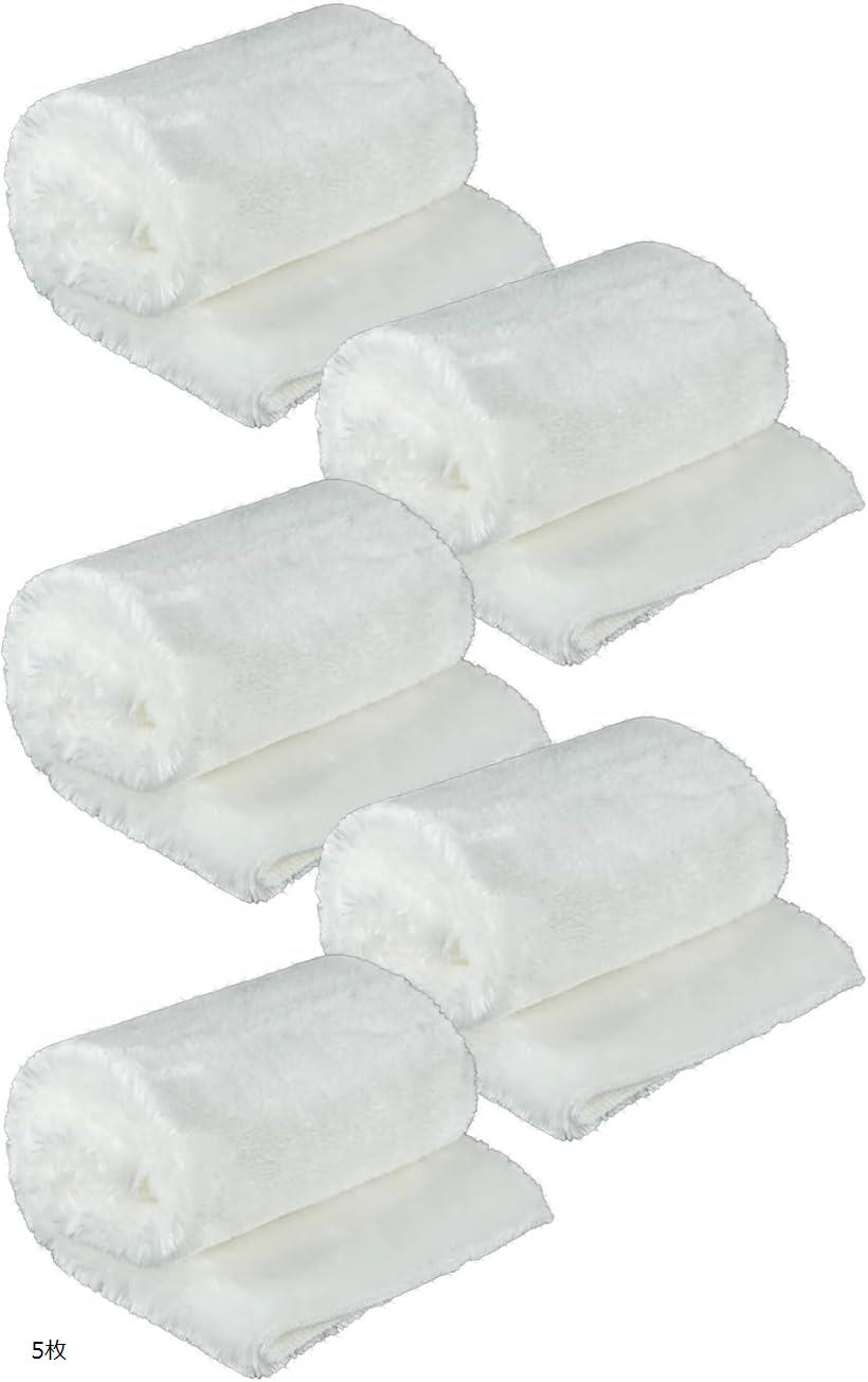 濾過 フィルター 水槽 浄化マット 厚手 接着剤 不使用 金魚 エビ 生物 水族館 浄水 20 cm x 30 (白, 5枚)