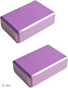 ヨガ ブロック 2個セット 23x15x7.6cm 体幹 ストレッチ ピラティス フィットネス(紫, 120g)