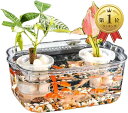 金魚鉢 水槽 メダカ 飼育 大容量 アクアリウム 観葉植物 インテリア 容器 ボウル プラスチック 透明 蓋つき 小:28x19x11cm( クリア, 小:28x19x11cm)