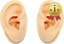 SAKIRABITO 耳模型 人口耳 耳つぼ模型 耳モデル 両耳 シリコン製 左右耳 2個セット