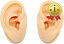 SAKIRABITO 耳模型 人口耳 耳つぼ模型 耳モデル 両耳 シリコン製 左右耳 2個セット