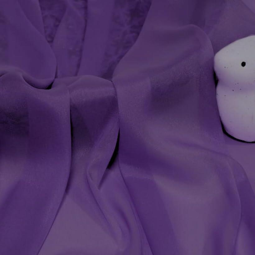 微光沢 ソフト シフォン 生地 選べる20色 幅1.5m 手芸 カラー 無地 透ける 布 (パープル, 2m)