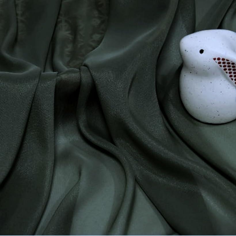 【全品P5倍★お買い物マラソン】微光沢 ソフト シフォン 生地 選べる20色 幅1.5m 手芸 カラー 無地 透ける 布(ダークグリーン, 2m)