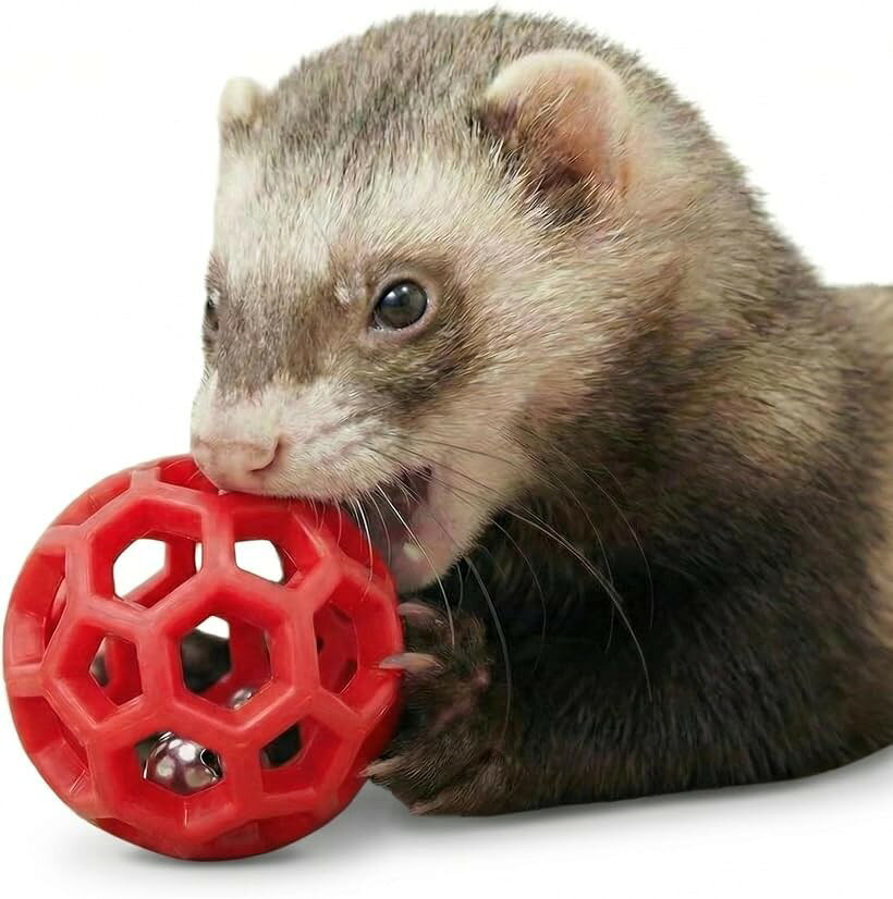鈴の音に興味津々。 フェレット おもちゃ ボール 小動物 直径5cm 鈴入り 音が鳴る ...