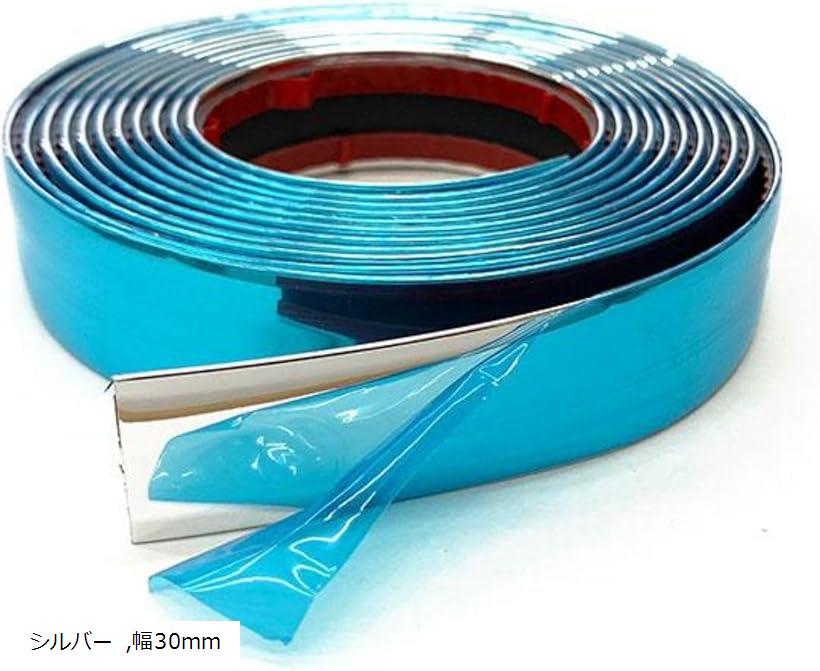 互換品 メッキモール 3m 車 ドア ライン プロテクター 傷防止 テープ ガード バンパー 保護 用 ボディ 汎用 幅 30mm シルバー (シルバー, 幅30mm)