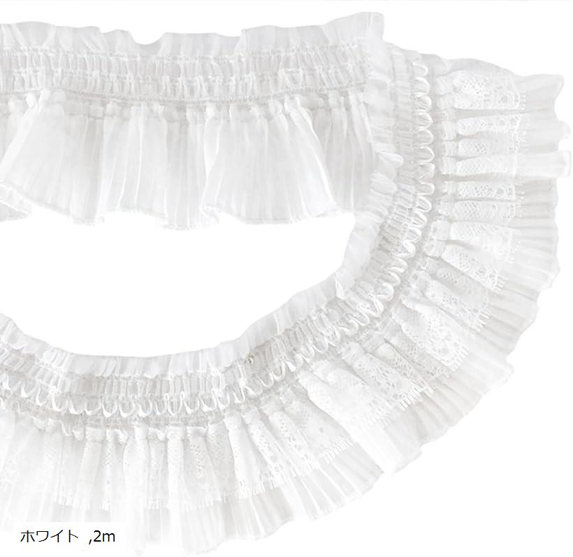 ストレッチ ロリータ レース ライン トリム 生地 メッシュ 装飾 ドレス ゴスロリ (ホワイト, 2m)
