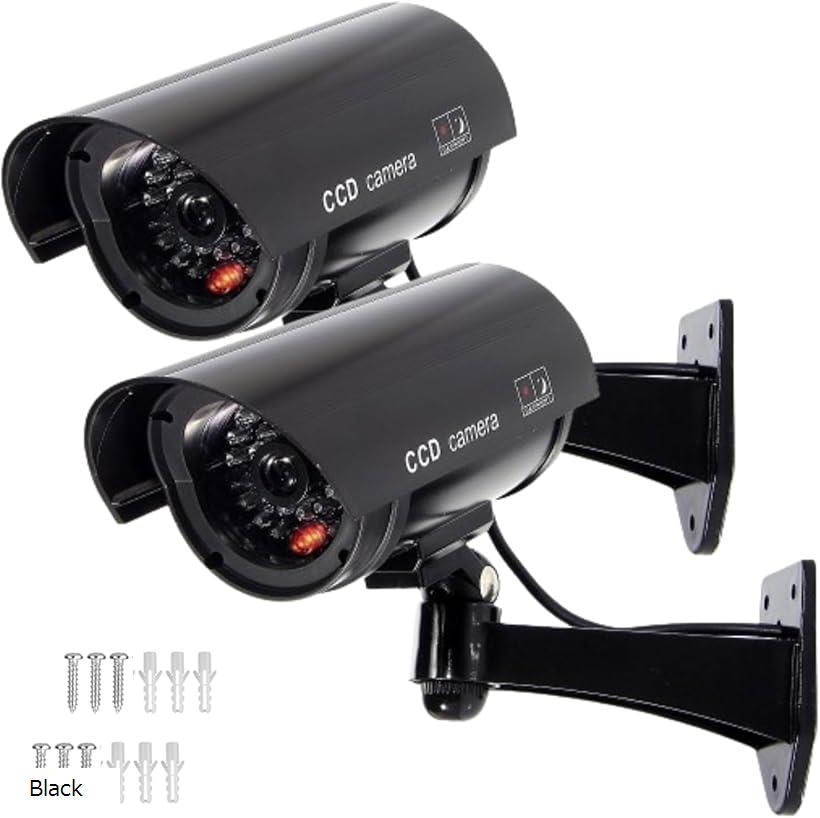 ダミーカメラ ダミー防犯カメラ フェイクカメラ 2個セット 角度調整可能 赤色 LEDライト 常時点滅 配線不要 乾電池式