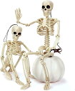 ハロウィン 骸骨 飾り 40cm 2点セット 関節可動式 スケルトン 怖い お化け屋敷 髑髏 恐怖 ホラー デコレーション 雰囲気満点 装飾 道具 密室 パーティー 店舗 家庭用 肝試し グッズ(オフホワイト)