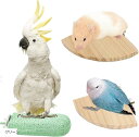 爪とぎ ステップ とまり木 スタンド インコ ハムスター 小鳥 モモンガ セット(グリーン)