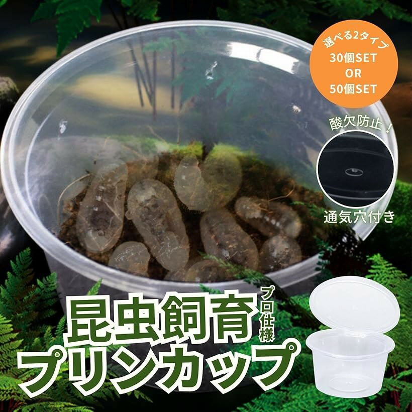 プリンカップ 昆虫 カブトムシ クワガタ 幼虫 ケース 穴あき 卵 繁殖容器 30個 (透明)