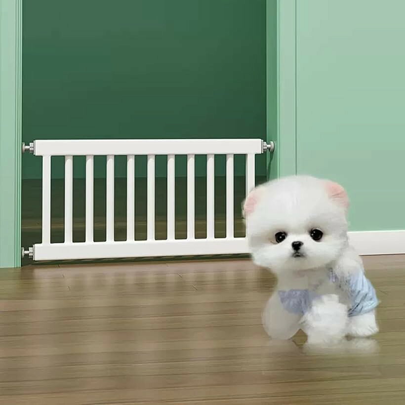 バリエーションコード : 2b95k0qtg5商品コード2b2njfphy3商品名ペットゲート 犬用バリアゲート ペットフェンス 高さ44cm ベビーゲート 間仕切り ドアストッパー ペット侵入防止ブランドJizaカラーホワイトサイズ等取付幅78-84cm「高品質素材」高密度炭素鋼。安定した耐久性、耐腐食性、耐荷重性があり、容易に変形せず、幅広い用途に使用できます。「安全安心」小型犬から中型犬まで使えるペットフェンスです。キッチンや玄関・階段など、お子様にとって危ない場所に入らないようにこのゲートで安全な空間を作ります。危険な場所への侵入対策はもちろん、お子様の脱走防止や、階段からの転落防止にも役に立ちます。「積み重ね可能」ペットゲートは、44cmの高さがあり、 人の出入りがしやすく、高さが足りなければ積み重ねられるので、小型犬や中型犬にも対応できるペットドアです。「取り付け簡単」 このベビーゲートは取り付けに穴を開ける必要がなく、ツールは不要、壁に損傷を与えないこのをインストールできます。「幅広い用途」リビングルーム、部屋、バルコニー、階段、キッチン、ベッドルーム、バスルームで広く使用されています。※ 他ネットショップでも併売しているため、ご注文後に在庫切れとなる場合があります。予めご了承ください。※ 品薄または希少等の理由により、参考価格よりも高い価格で販売されている場合があります。ご注文の際には必ず販売価格をご確認ください。※ 沖縄県、離島または一部地域の場合、別途送料の負担をお願いする場合があります。予めご了承ください。※ お使いのモニタにより写真の色が実際の商品の色と異なる場合や、イメージに差異が生じることがあります。予めご了承ください。※ 商品の詳細（カラー・数量・サイズ 等）については、ページ内の商品説明をご確認のうえ、ご注文ください。※ モバイル版・スマホ版ページでは、お使いの端末によっては一部の情報が表示されないことがあります。すべての記載情報をご確認するには、PC版ページをご覧ください。