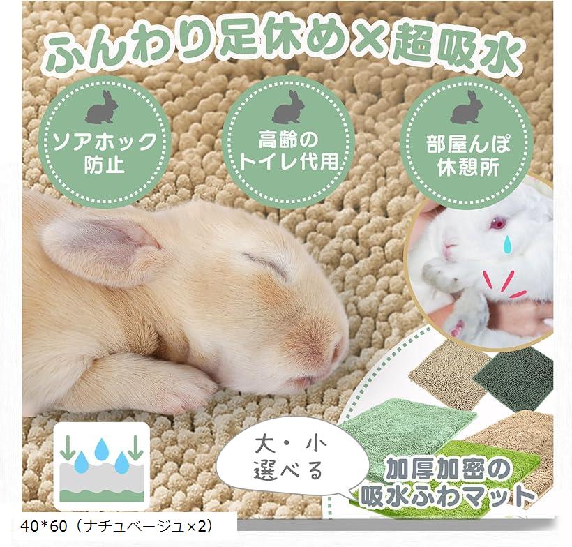 うさぎ マット トイレ ソアホック 洗濯機OK 足休め＆トイレケアを両立。 (40x60（ナチュベージュx2）)