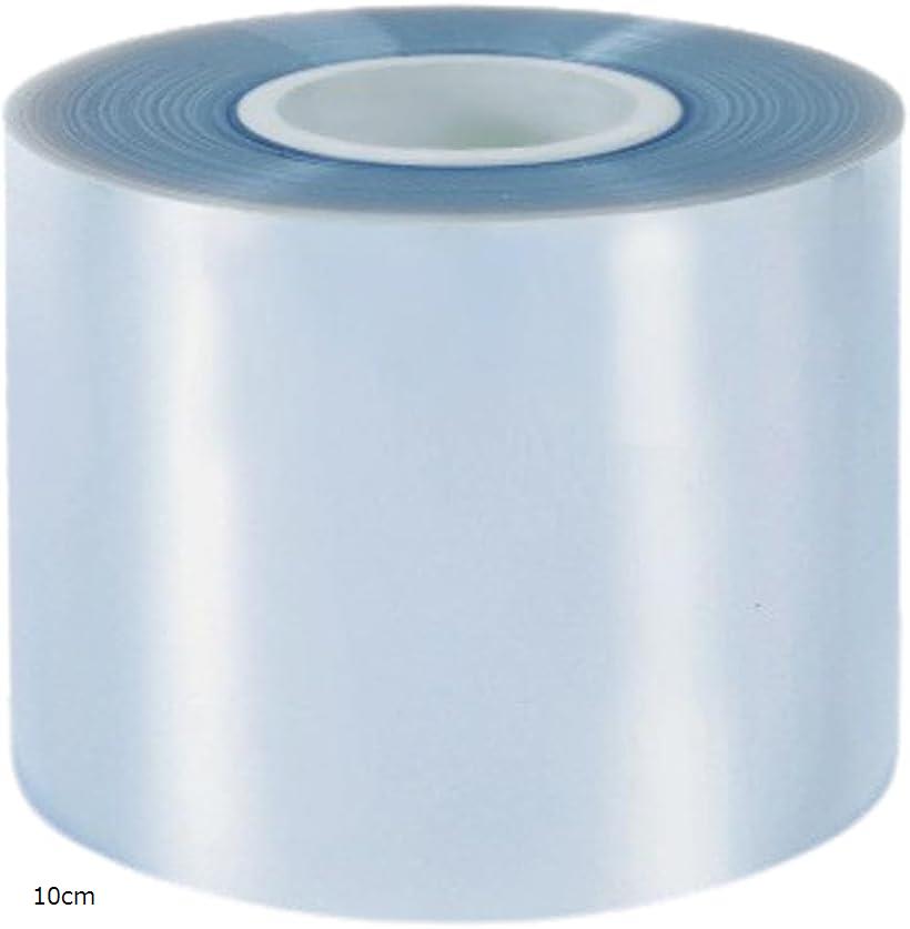 保護フィルム プロテクションフィルム 車 傷防止テープ 透明 TPU素材 (透明, 10cmx2m)