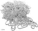 ラインストーン 10m チェーン デコ シルバー クリスタル アクセサリー パーツ ネイルパーツ(1.5mm)(4)
