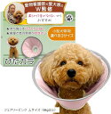 エリザベスカラー ぴたカラ獣医師xトイプー2匹の愛犬家監修小型犬専用x軽量で音がしないモデルxソフトタイプx術後のケア用品(フェアリーピンク, Lサイズ(6kg以上))