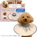 エリザベスカラー ふわカラ獣医師xトイプー2匹の愛犬家監修小型犬専用x軽量で音がしないモデルxソフトタイプx術後のケア用品(サンドベージュ, Mサイズ(2kg以上~6kg))