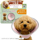 エリザベスカラー ぴたカラ獣医師xトイプー2匹の愛犬家監修小型犬専用x軽量で音がしないモデルxソフトタイプx術後のケア用品(フェアリーピンク, Mサイズ(2kg以上~6kg))