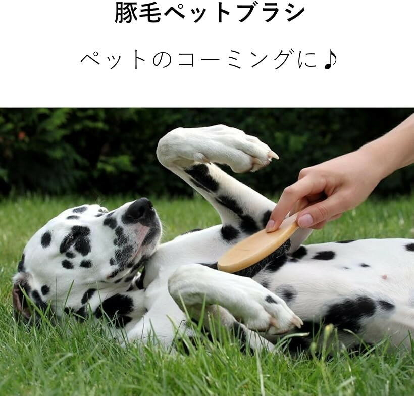 �ڥåȥ֥饷 ���� ����å����֥饷 �� ǭ ������ û�� (��)