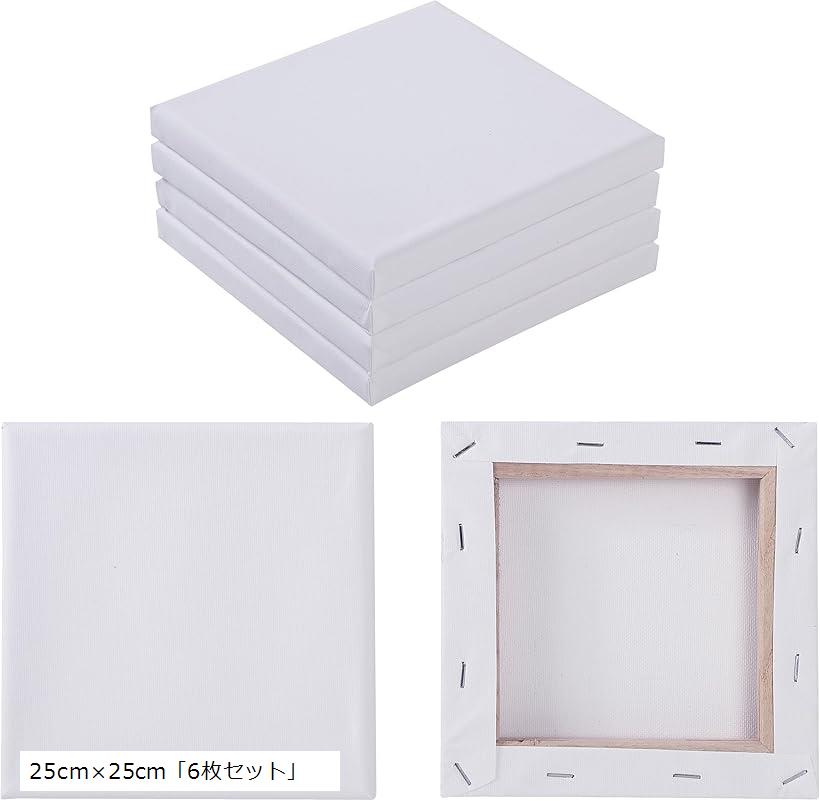 【楽天ランキング1位入賞】キャンバス ミニキャンバス 正方形 綿100% 下地処理済み アシッドフリー 油..