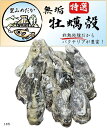 国産特選 牡蠣殻 非加熱 アクアリウム メダカ 金魚 熱帯魚 海水魚 水質安定 水質浄化 PH調整 脱臭 酸性防止(15枚)