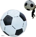 サッカーボール 巨大 ビーチボール ジャンボ マリンスポーツ 水遊び イベント(ホワイト, 150cm)