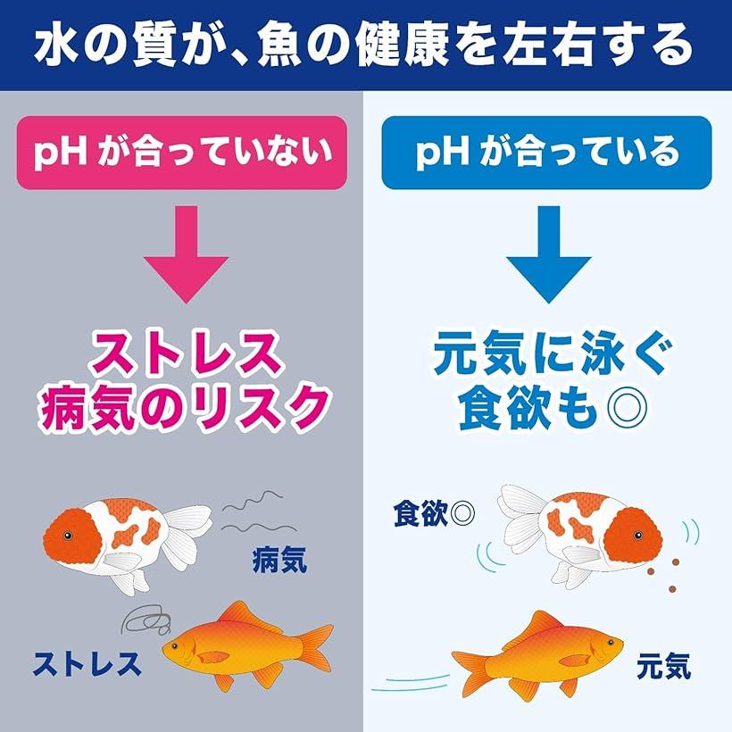 pHコントロール機能付き リングろ材 バイオエナジーリング 多孔質 セラミック ろ過...