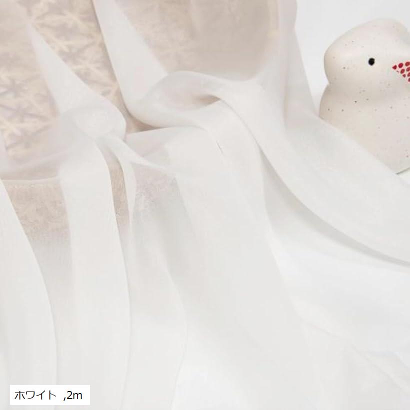 微光沢 ソフト シフォン 生地 選べる20色 幅1.5m 手芸 カラー 無地 透ける 布 (ホワイト, 2m)