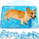 最新 ペット ひんやりマット 犬 猫 冷却マット ペット用 クールマット 涼しい 熱中症 熱さ対策 接触冷感 防水 耐噛み 丸型 冷感シート 洗える 無害ジュル 中型 大型犬 ウサギ 対応 人間ペット兼用(枕付き, M(50x65CM))
