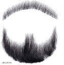 付け髭 ひげ 口髭 人毛 ウィッグ 髪製髭 手作り本物 コスプレ用 1個(JIE LUN XH)