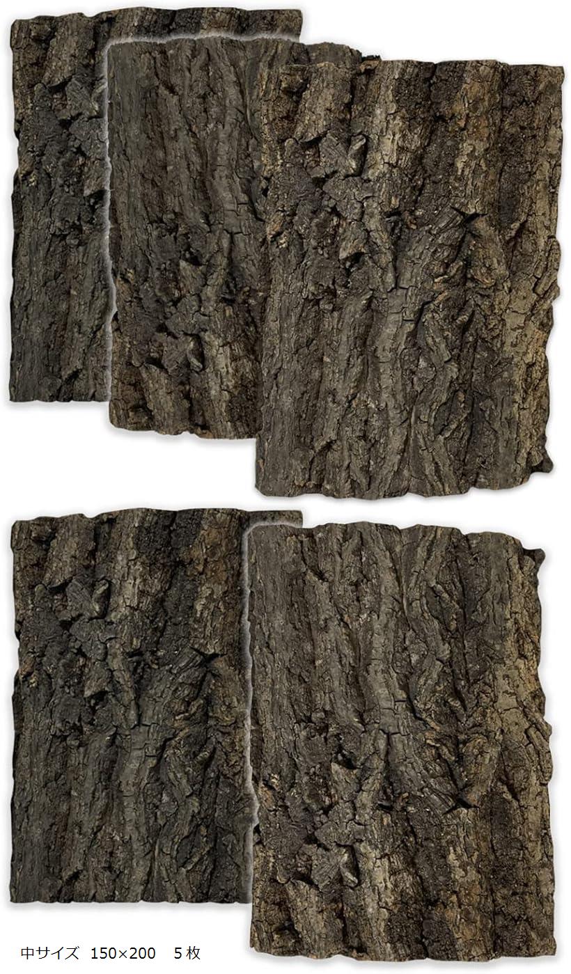コルク樹皮 着生 エアプランツ チランジア バークチップ 爬虫類 観葉植物 本物 ヘゴ板 (中サイズ 150x200　5枚)