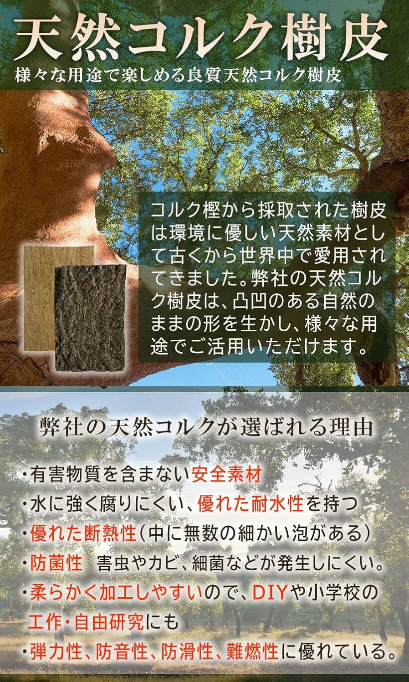 コルク樹皮 着生 エアプランツ チランジア バークチップ 爬虫類 観葉植物 本物 ヘゴ板 (大サイズ 200x300　7枚)