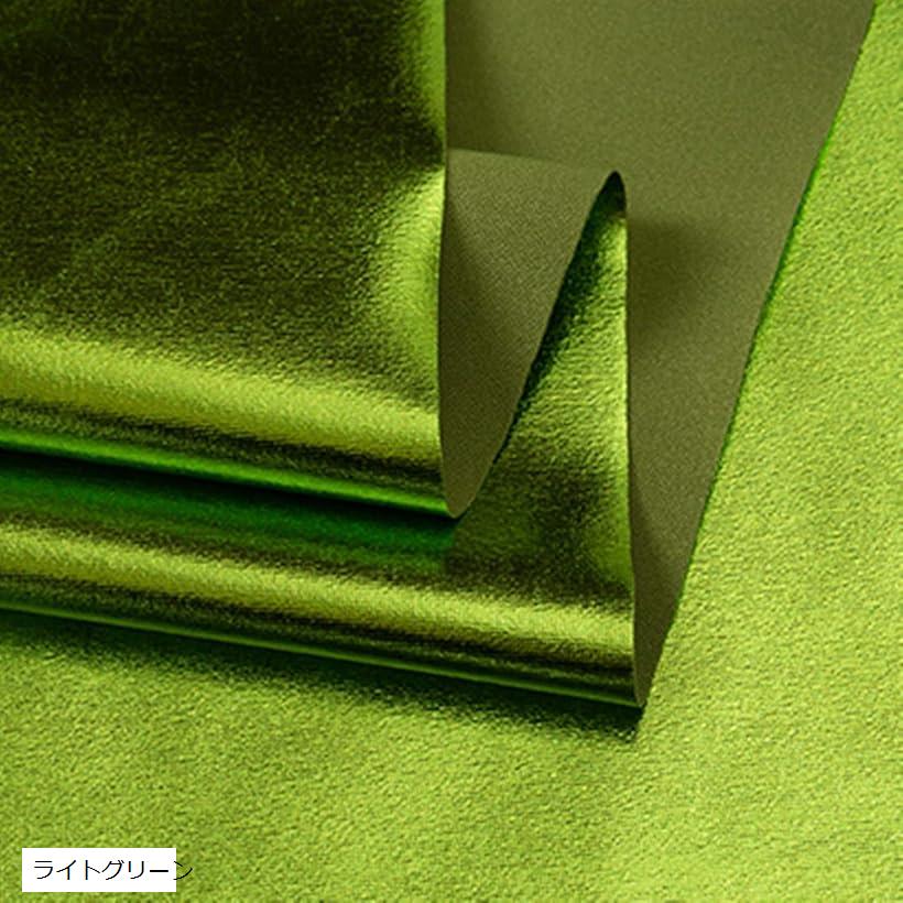 スパンデックス 生地 カラー 約1mx幅145cm裁断済み 伸縮 弾性 ポリウレタン (ライトグリーン)